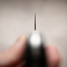 Load image into Gallery viewer, Ichimonji Powder Steel Santoku Knife
